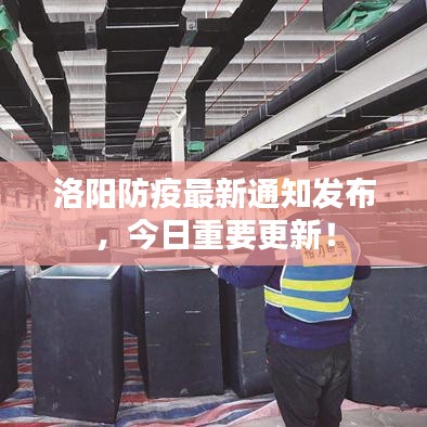 洛阳防疫最新通知发布,今日重要更新!