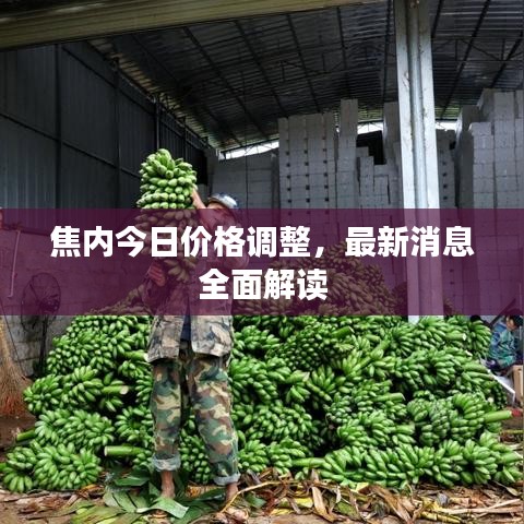 焦内今日价格调整,最新消息全面解读