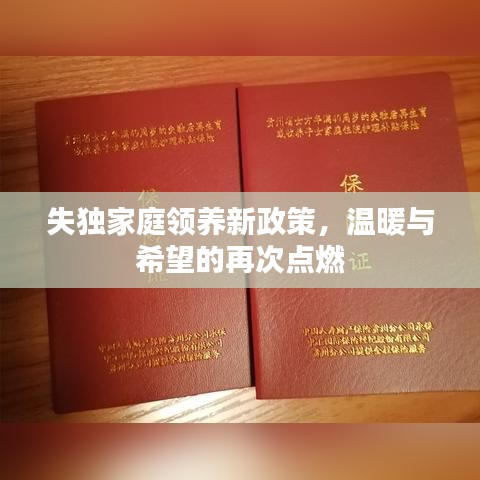 失独家庭领养新政策，温暖与希望的再次点燃