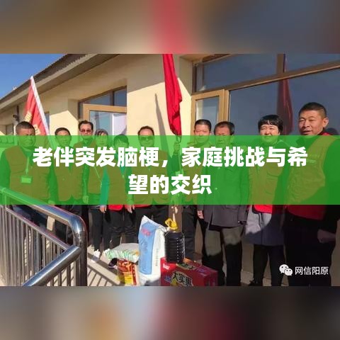 老伴突发脑梗,家庭挑战与希望的交织