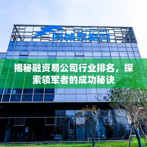揭秘融资易公司行业排名,探索领军者的成功秘诀