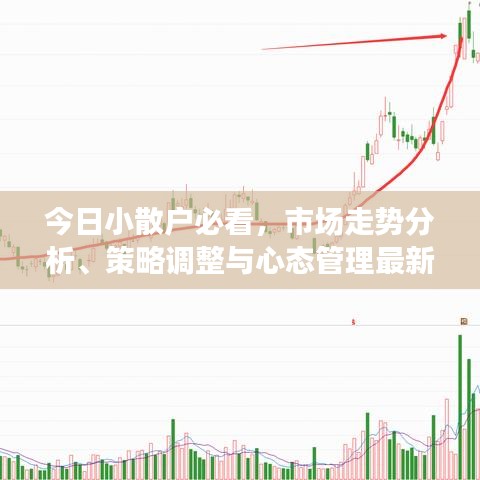 今日小散户必看，市场走势分析、策略调整与心态管理最新报道