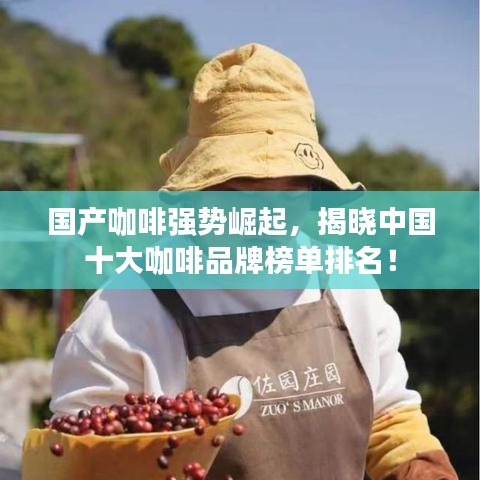 国产咖啡强势崛起，揭晓中国十大咖啡品牌榜单排名！