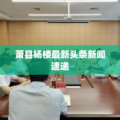 萧县杨楼最新头条新闻速递