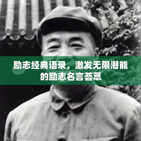 励志经典语录，激发无限潜能的励志名言荟萃