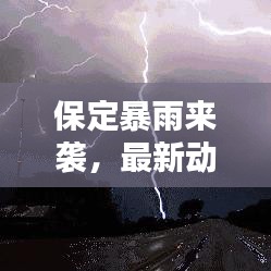 保定暴雨来袭,最新动态、影响分析与实时消息速递