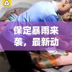 保定暴雨来袭,最新动态、影响分析与实时消息速递