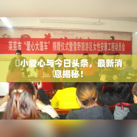 衣不兼彩 第3页