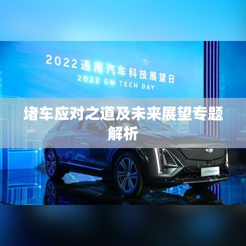 堵车应对之道及未来展望专题解析