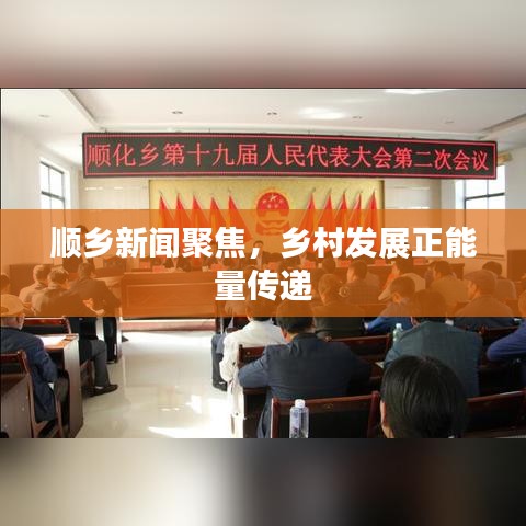 顺乡新闻聚焦,乡村发展正能量传递