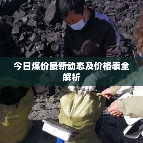 今日煤价最新动态及价格表全解析