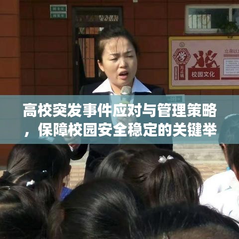 高校突发事件应对与管理策略,保障校园安全稳定的关键举措