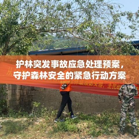 护林突发事故应急处理预案,守护森林安全的紧急行动方案