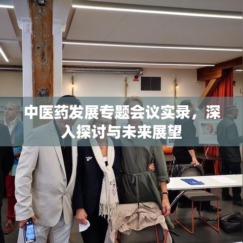 中医药发展专题会议实录，深入探讨与未来展望