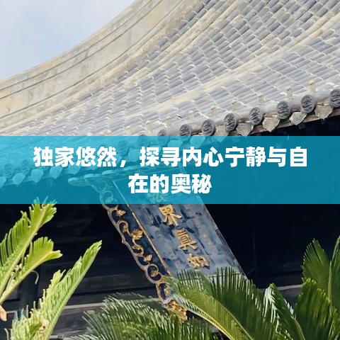 独家悠然，探寻内心宁静与自在的奥秘