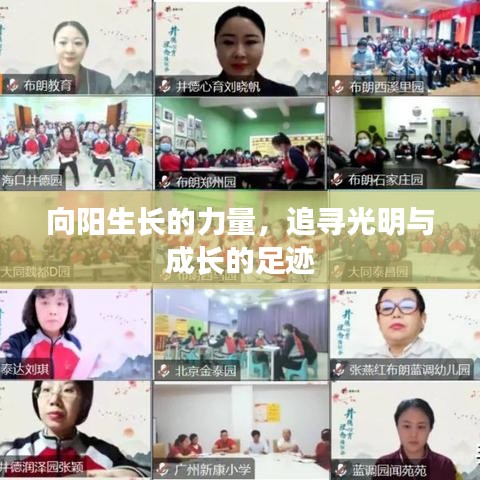 向阳生长的力量,追寻光明与成长的足迹