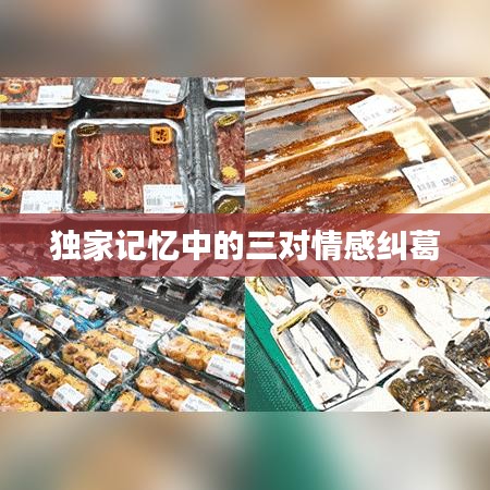 独家记忆中的三对情感纠葛