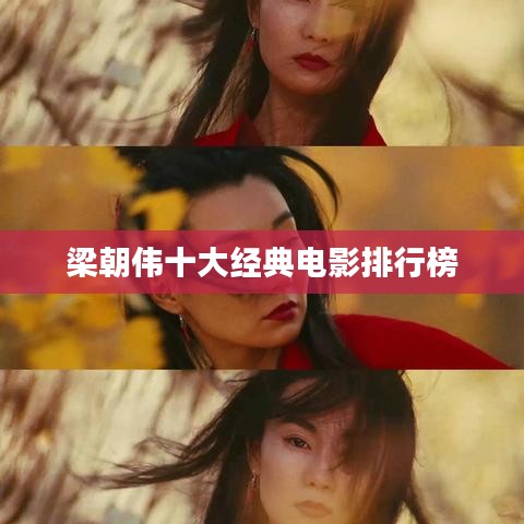 梁朝伟十大经典电影排行榜