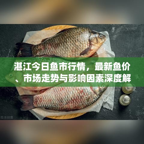 湛江今日鱼市行情,最新鱼价、市场走势与影响因素深度解析