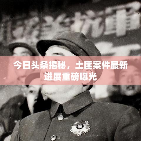 今日头条揭秘,土匪案件最新进展重磅曝光