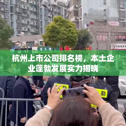 杭州上市公司排名榜，本土企业蓬勃发展实力揭晓