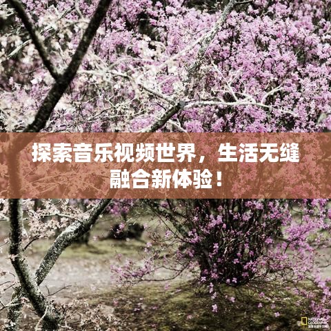 探索音乐视频世界，生活无缝融合新体验！