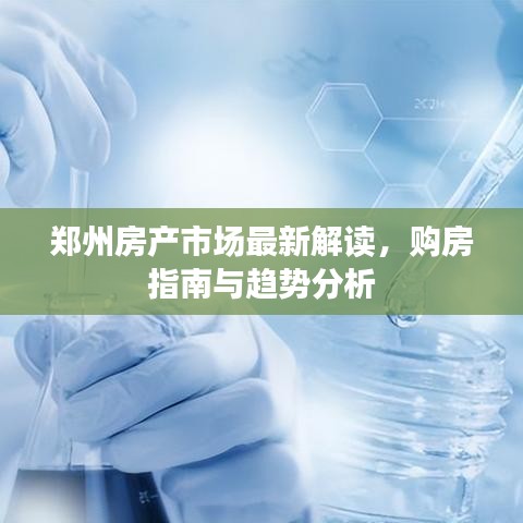 郑州房产市场最新解读，购房指南与趋势分析