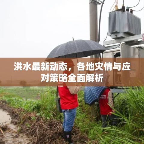洪水最新动态，各地灾情与应对策略全面解析