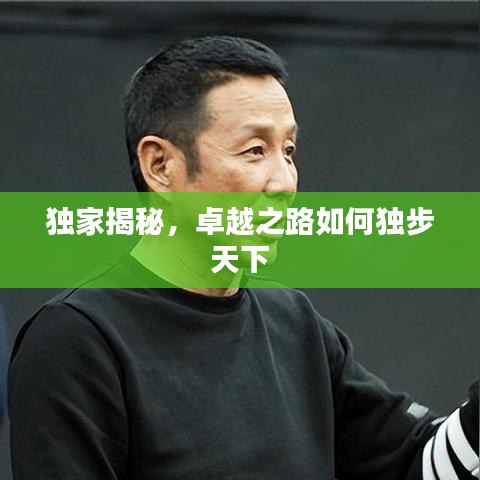 独家揭秘，卓越之路如何独步天下