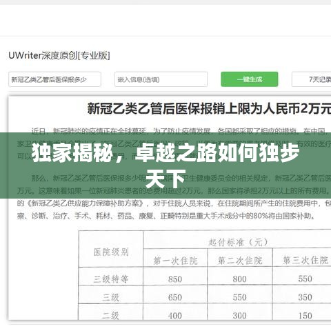 独家揭秘,卓越之路如何独步天下