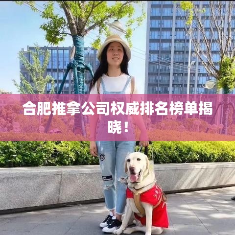 合肥推拿公司权威排名榜单揭晓!