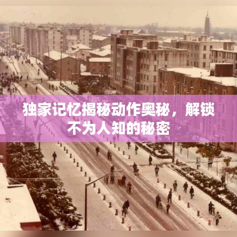 独家记忆揭秘动作奥秘，解锁不为人知的秘密