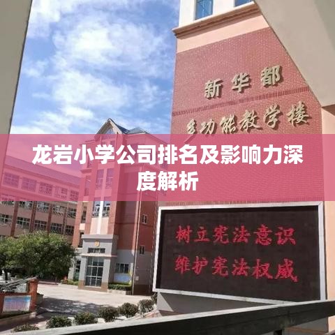 龙岩小学公司排名及影响力深度解析