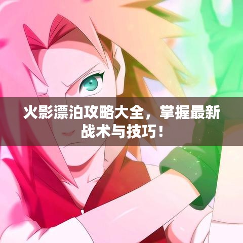 火影漂泊攻略大全,掌握最新战术与技巧!