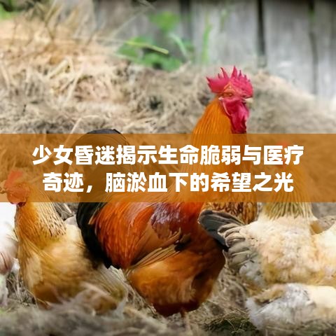 少女昏迷揭示生命脆弱与医疗奇迹,脑淤血下的希望之光