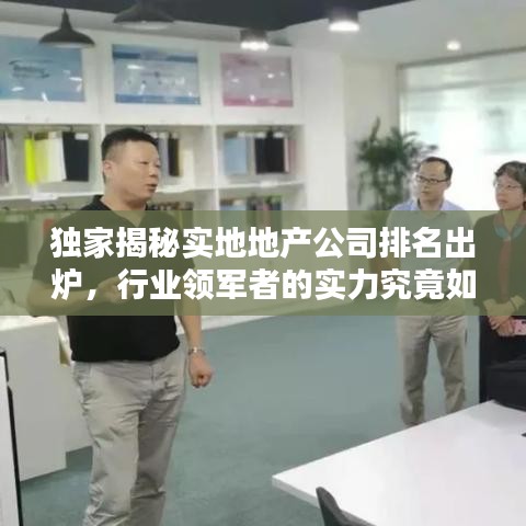 独家揭秘实地地产公司排名出炉，行业领军者的实力究竟如何？