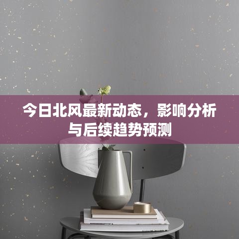 今日北风最新动态，影响分析与后续趋势预测