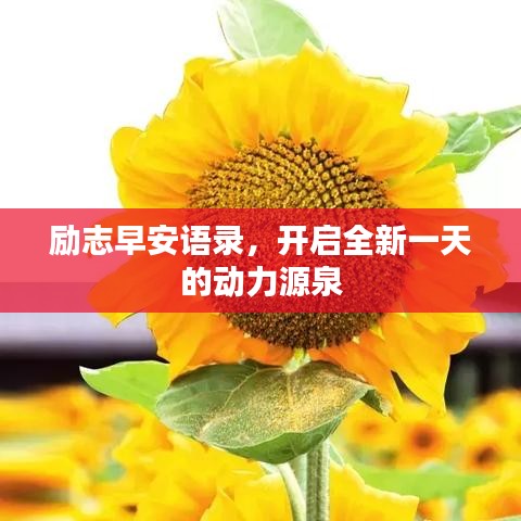 励志早安语录，开启全新一天的动力源泉