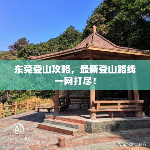 东莞登山攻略,最新登山路线一网打尽!