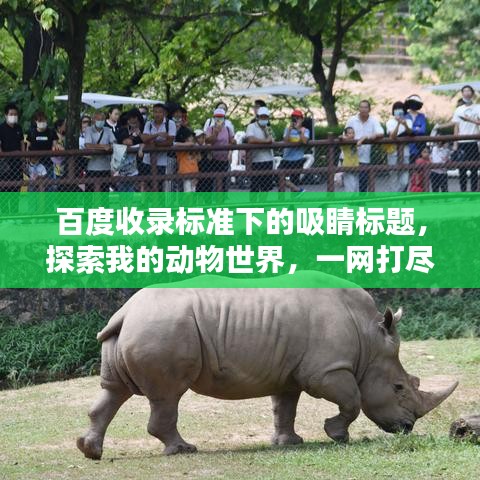 百度收录标准下的吸睛标题,探索我的动物世界,一网打尽喜爱动物!