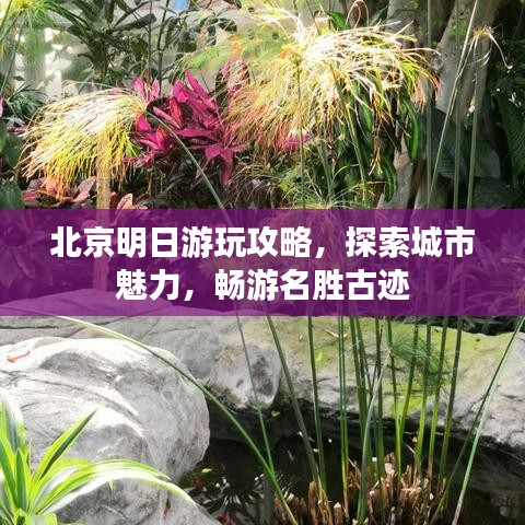 北京明日游玩攻略,探索城市魅力,畅游名胜古迹