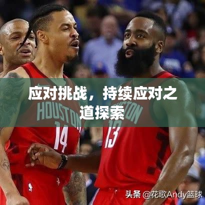 应对挑战,持续应对之道探索