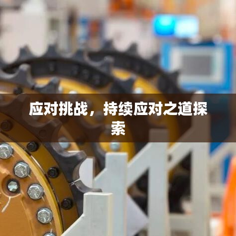 应对挑战,持续应对之道探索
