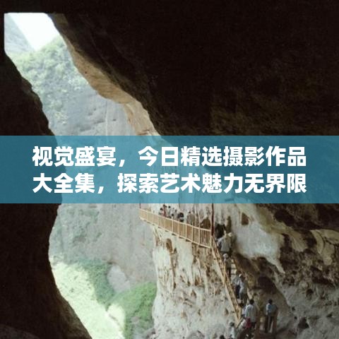 视觉盛宴,今日精选摄影作品大全集,探索艺术魅力无界限