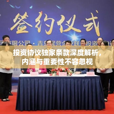 投资协议独家条款深度解析,内涵与重要性不容忽视