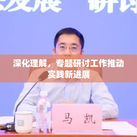 深化理解,专题研讨工作推动实践新进展