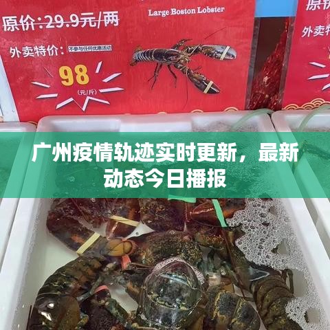 广州疫情轨迹实时更新,最新动态今日播报