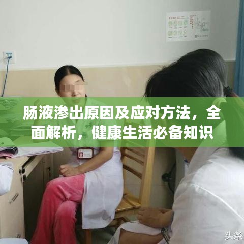 肠液渗出原因及应对方法，全面解析，健康生活必备知识