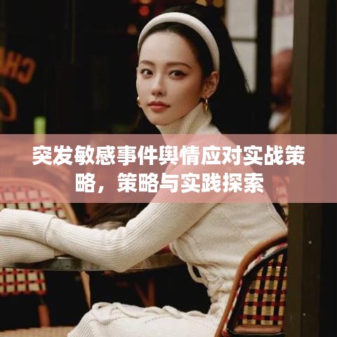 突发敏感事件舆情应对实战策略，策略与实践探索