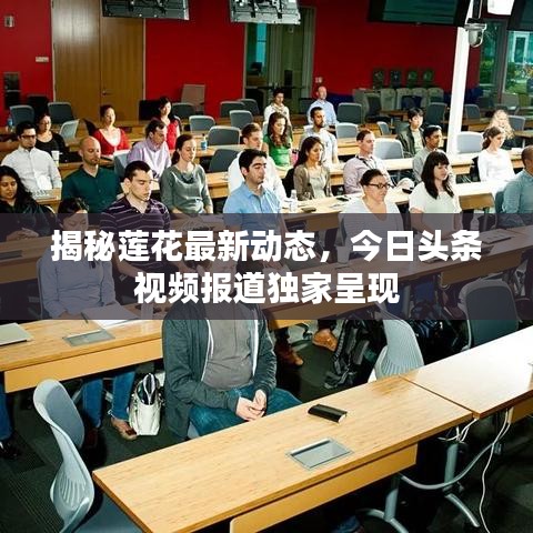 揭秘莲花最新动态,今日头条视频报道独家呈现